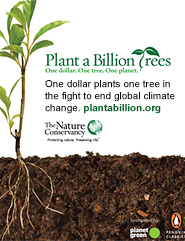 Plant a Billion Trees ad