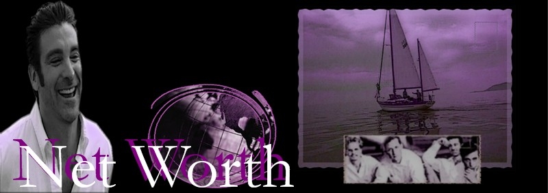 Net Worth Banner