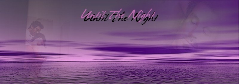 Until the Night Banner