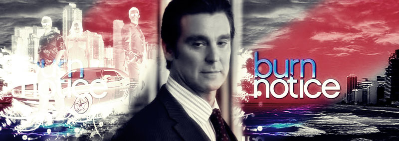 Burn Notice Banner by Julie