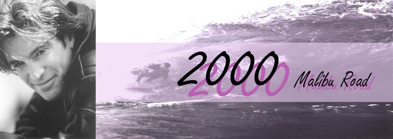 2000 Malibu Road Banner by Merian H.