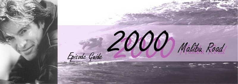 2000 Malibu Road Episode Guide Banner by Merian H.