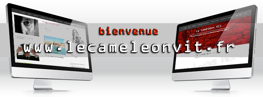 Le Cameleon Vit banner