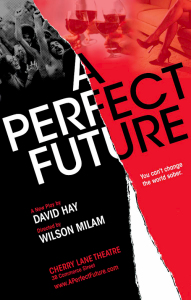 A Perfect Future poster