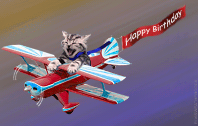 Happy Birthday kitty pilot