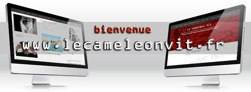 Le Caméléon Vit Website